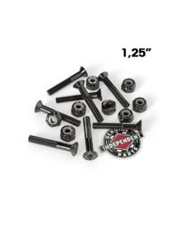 Viti Truck Skateboard INDEPENDENT Genuine Parts Phillips Cross Bolts 1,25" In Black
